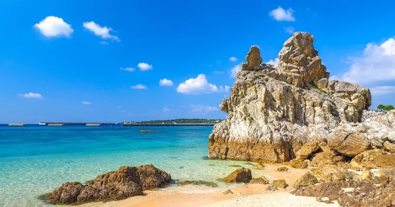 ゴリラチョップ